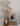 Image descriptive