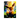 Tableau Evoli