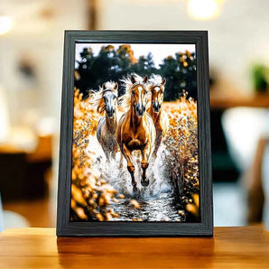 Cadre Chevaux Sauvages