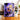 Mug Fischl