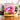 Mug Chat Macaron