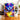 Mug Licorne Arc en Ciel