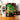 Mug Shenron