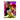 Tableau Dandadan