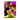 Tableau Dandadan