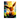 Tableau Evoli
