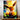 Tableau Evoli
