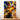 Tableau Genos