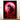 Tableau Nezuko