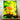Tableau Poussin Famille