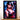 Tableau Sarada