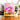 Mug Chat Macaron