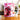 Mug Éléphant Rose - Les Bois d'Aurore